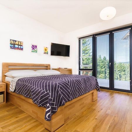 Horsky Apartman Temari 6 Klinovec Loučná pod Klínovcem Buitenkant foto